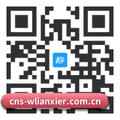 iOS 苹果生态原生版 二维码
